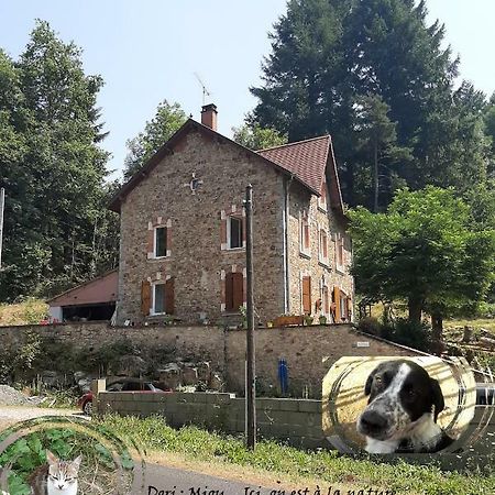 E Lu Chantauziau La Monnerie-le Montel Exteriér fotografie