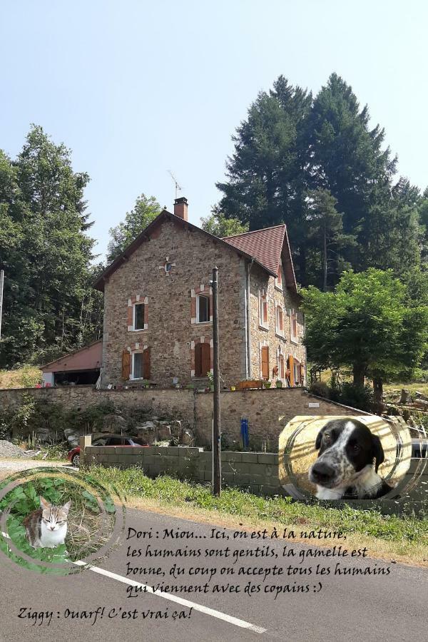 E Lu Chantauziau La Monnerie-le Montel Exteriér fotografie